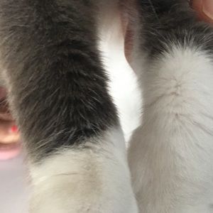 Meet your Posher, Jinhee